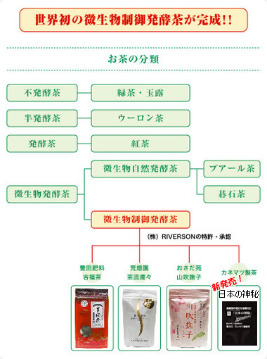 お茶の分類表